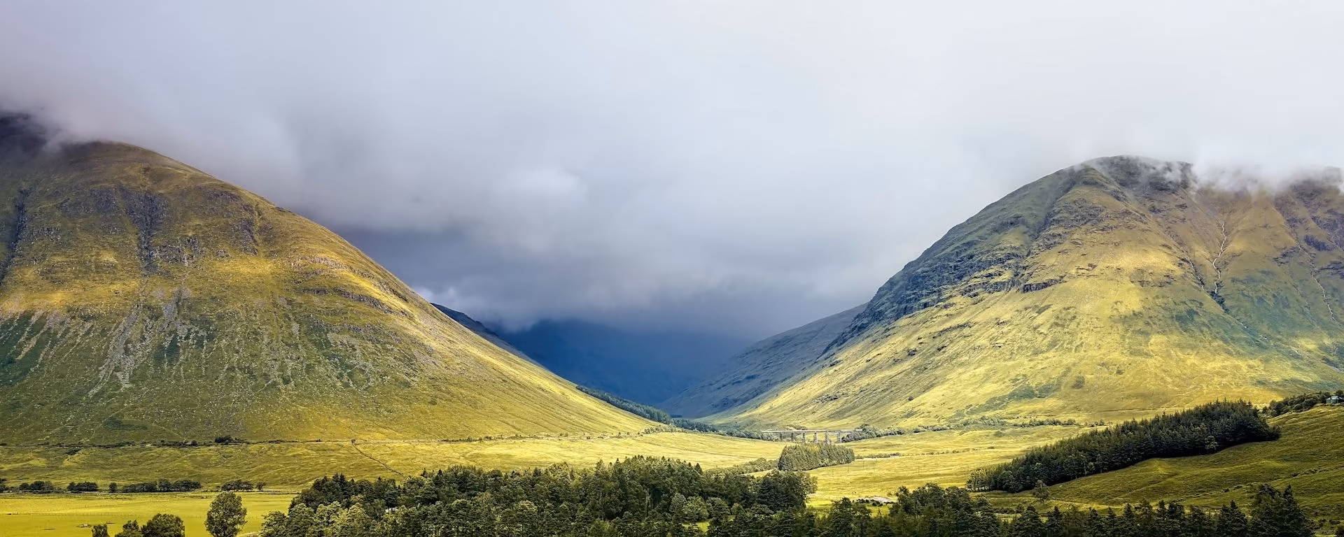 Glen in Glencoe under cloud, with a stand of trees in the valley